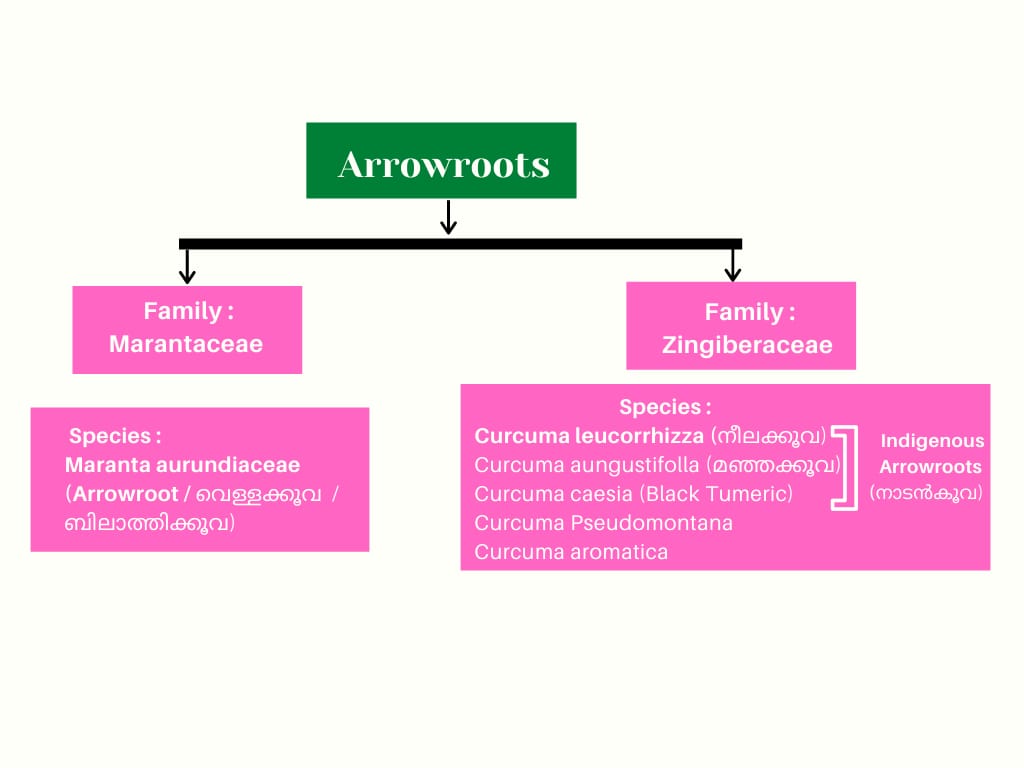 WhatsApp Image 2020-09-27 at 4.30.01 PM